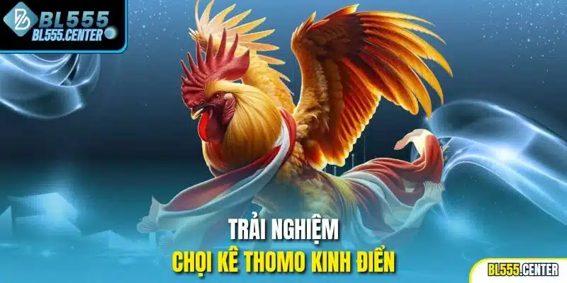 Trải nghiệm chọi kê Thomo kinh điển