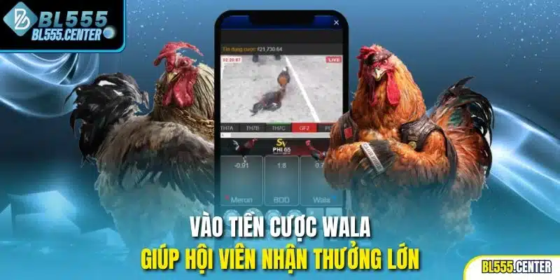 Vào tiền cược Wala giúp hội viên nhận thưởng lớn